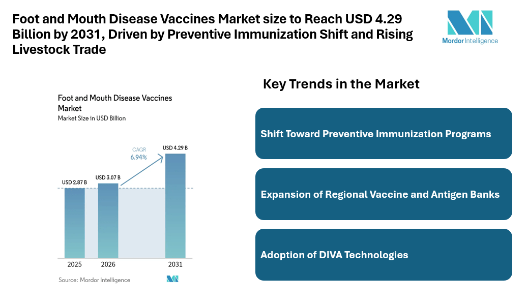 Foot and Mouth Disease Vaccines Market size to Reach USD 4.29 Billion by 2031, Driven by Preventive Immunization Shift and Rising Livestock Trade
