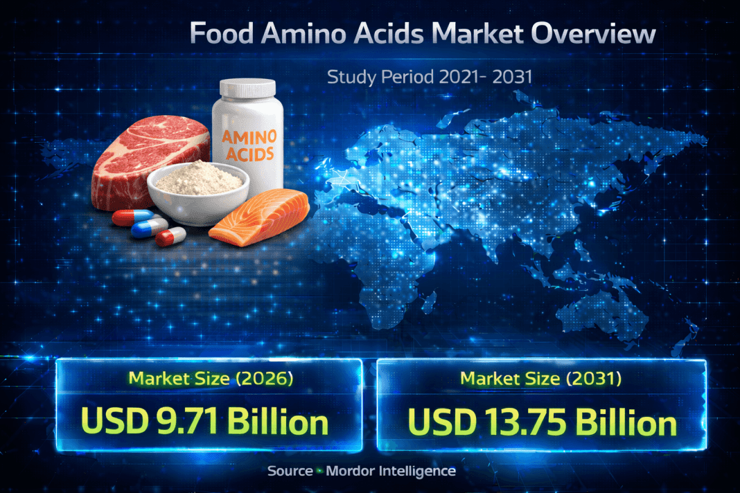 Food Amino Acids Market Size to Reach USD 13.75 Billion by 2031: Growth Driven by Functional Nutrition and Plant-Based Demand
