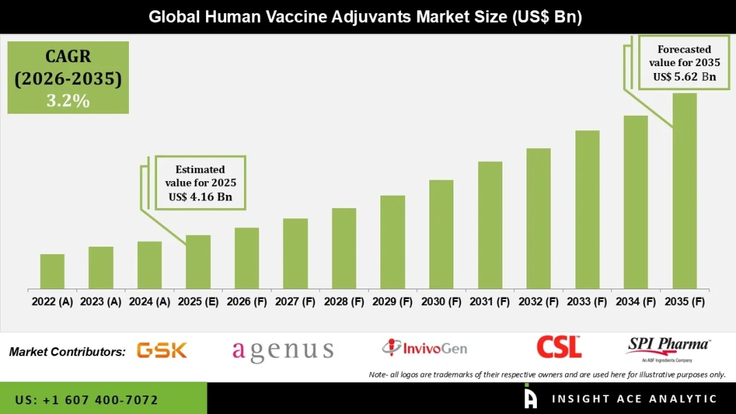 Human Vaccine Adjuvants Market Demand Analysis and Growth Opportunities