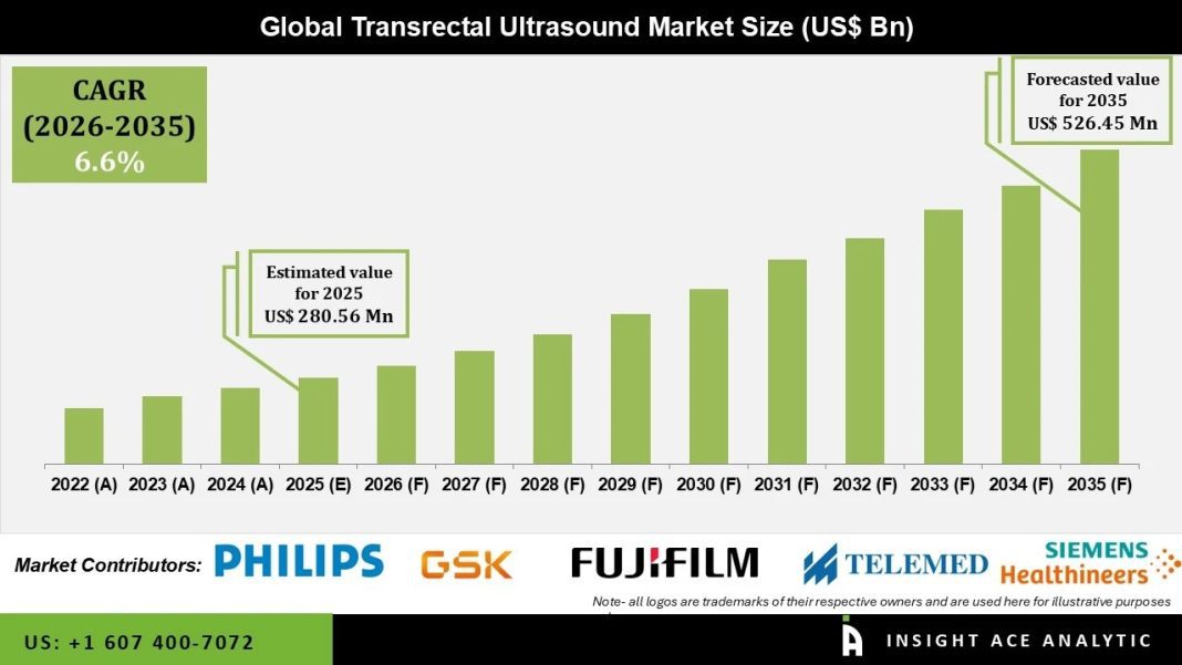 Transrectal Ultrasound Market Revenue Analysis and Growth Potential